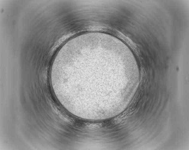 X0000086980155200705141724