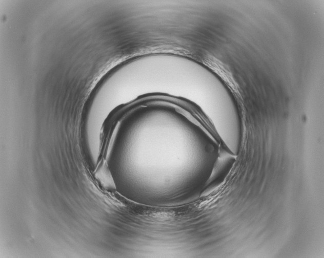 X0000086980156200705141724