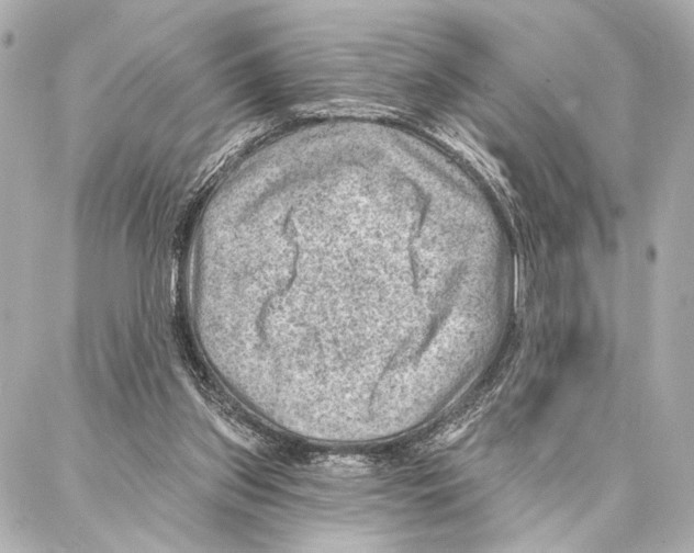 X0000086980157200705141724