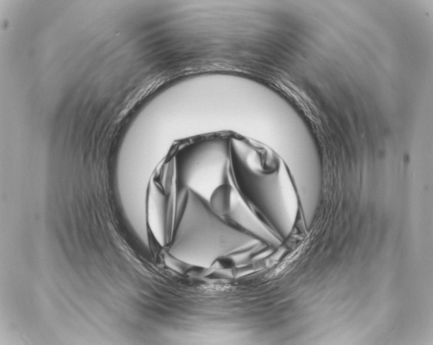 X0000086980158200705141724