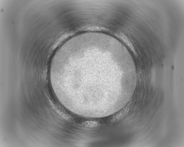 X0000086980159200705141724