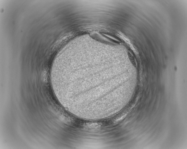 X0000086980161200705141725