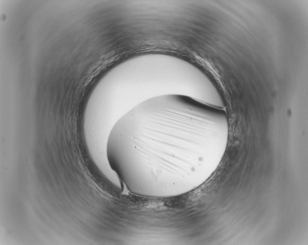 X0000086980162200705141725