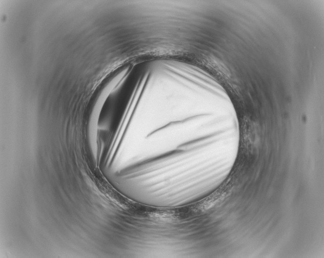 X0000086980164200705141725