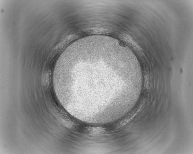 X0000086980165200705141725