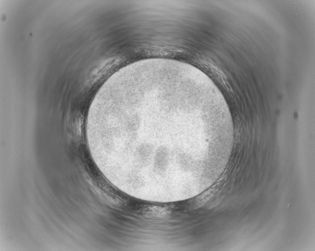 X0000086980166200705141725