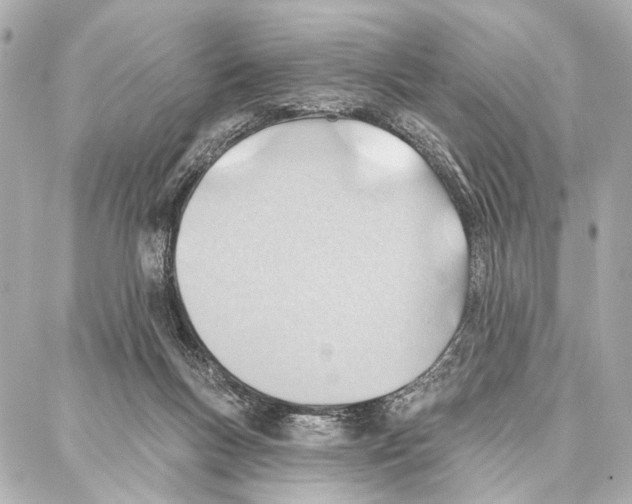 X0000086980167200705141725