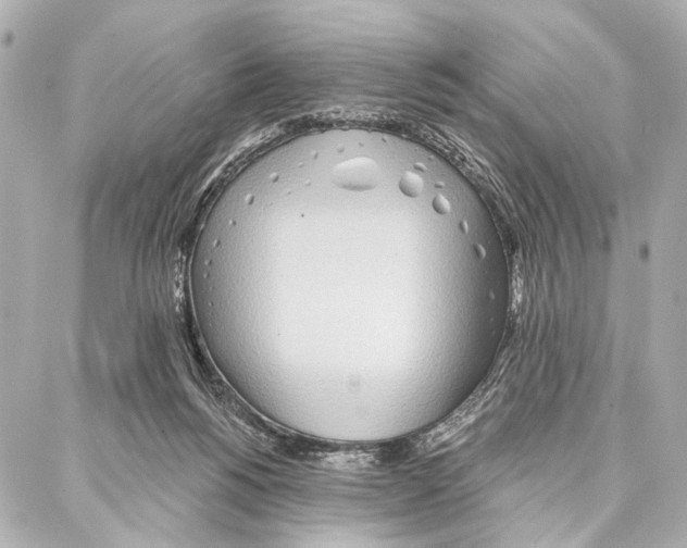 X0000086980168200705141725