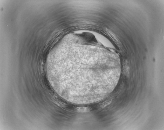 X0000086980169200705141725