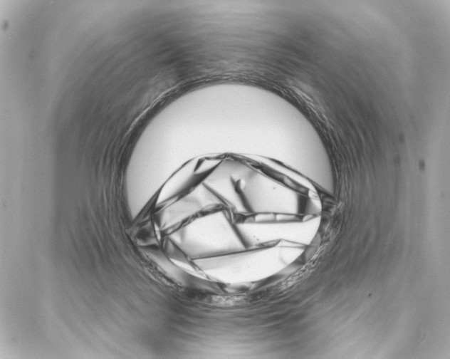 X0000086980172200705141725