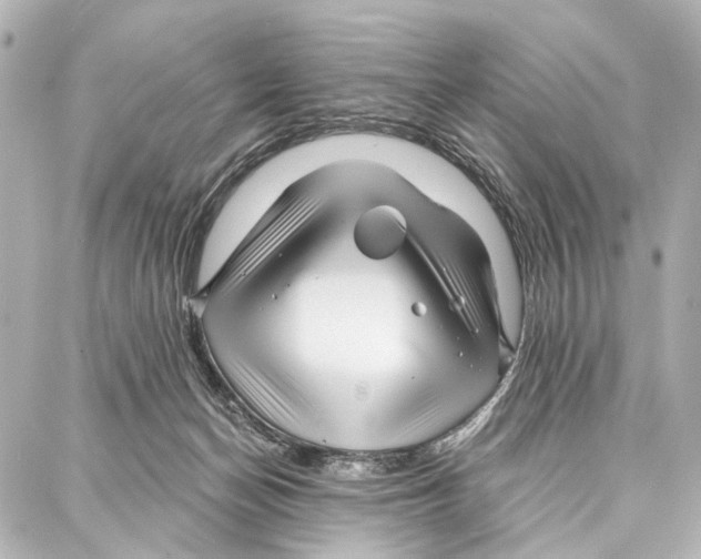 X0000086980174200705141725