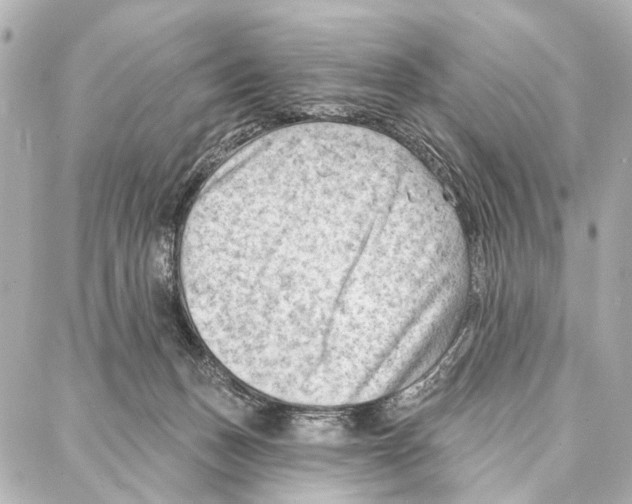 X0000086980175200705141725