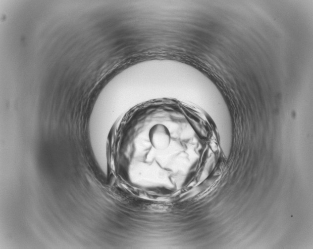 X0000086980176200705141725