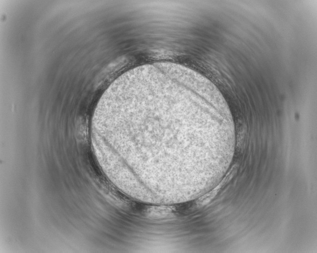 X0000086980179200705141725