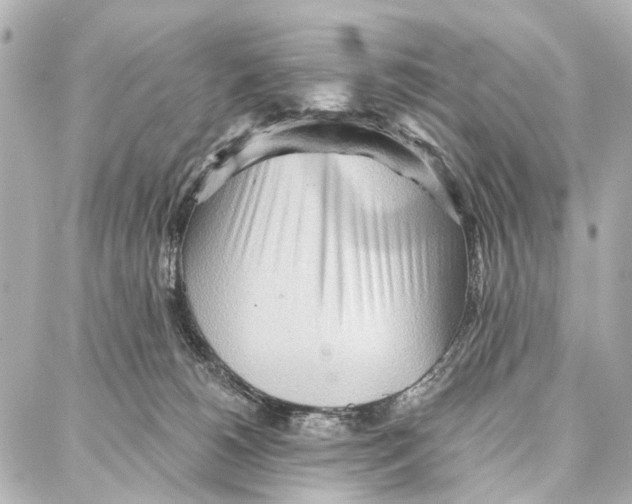 X0000086980180200705141725