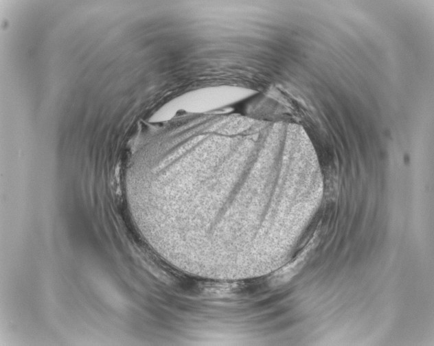 X0000086980182200705141725