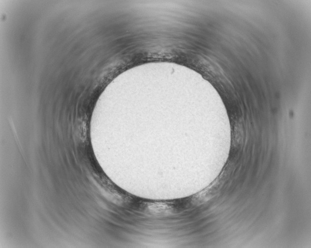 X0000086980183200705141725