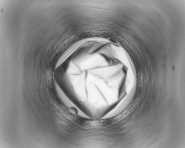 X0000086980184200705141725