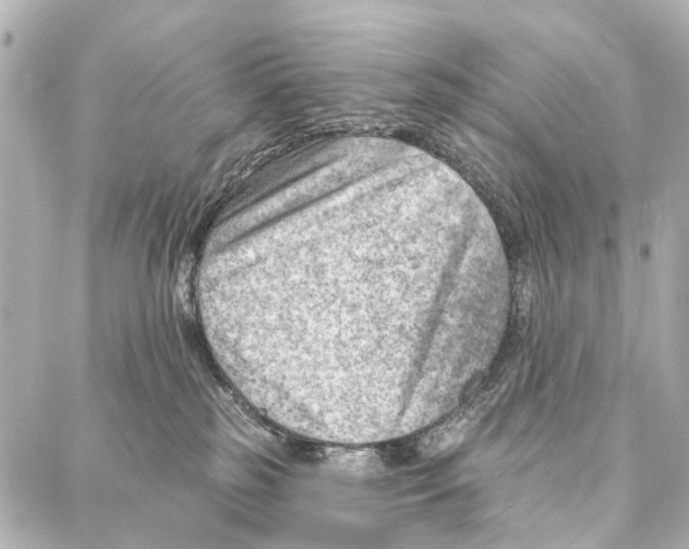 X0000086980185200705141725