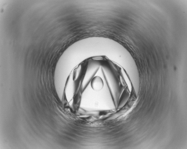 X0000086980186200705141725