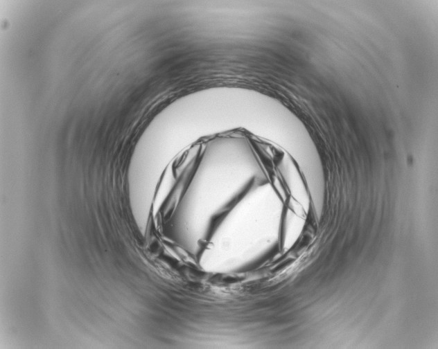 X0000086980188200705141725