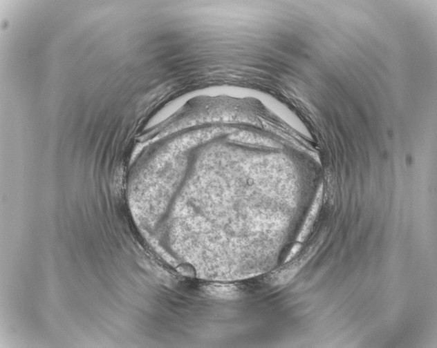 X0000086980189200705141725