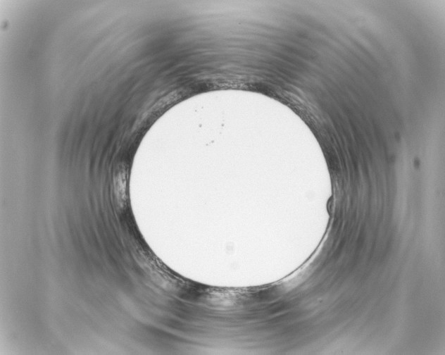 X0000086980190200705141725