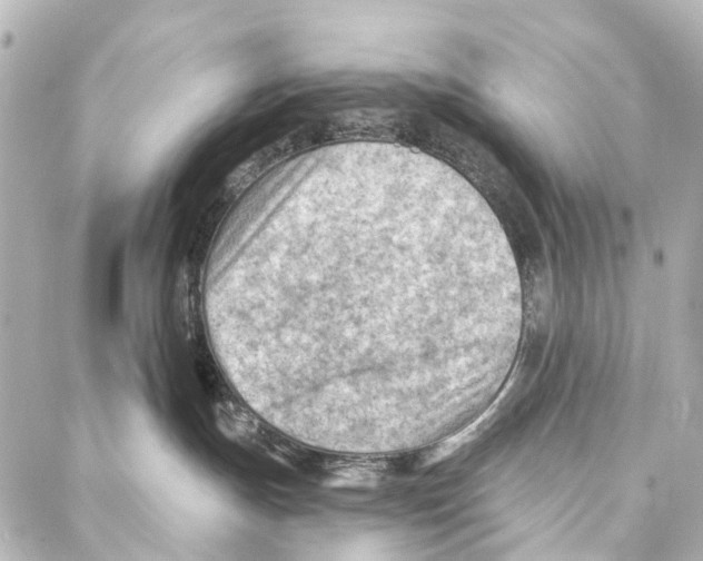 X0000086980191200705141725