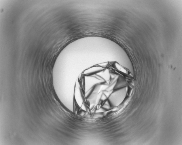 X0000086980192200705141725