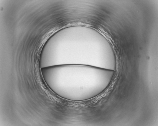 X0000086980193200705141724