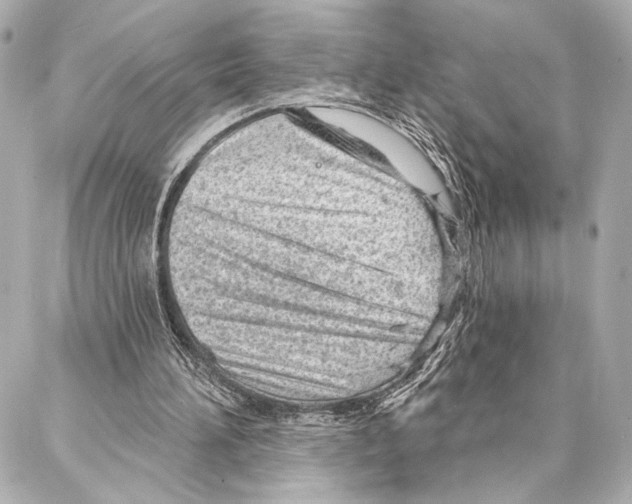 X0000086980196200705141724