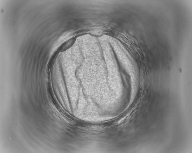 X0000086980198200705141724