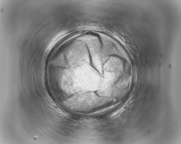 X0000086980199200705141724