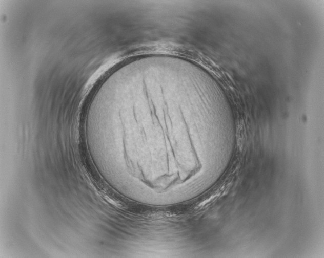 X0000086980200200705141724