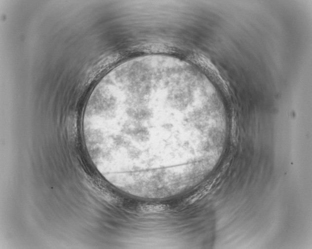 X0000086980202200705141724