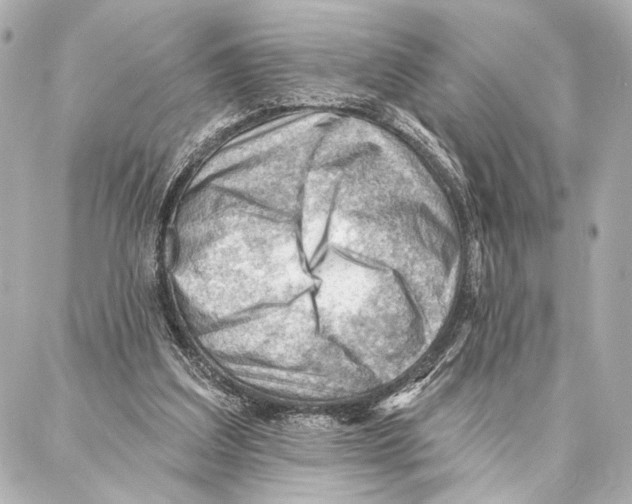 X0000086980203200705141724