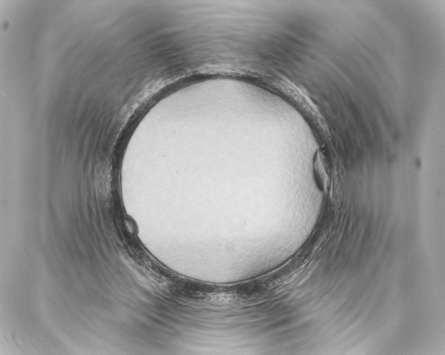 X0000086980204200705141724