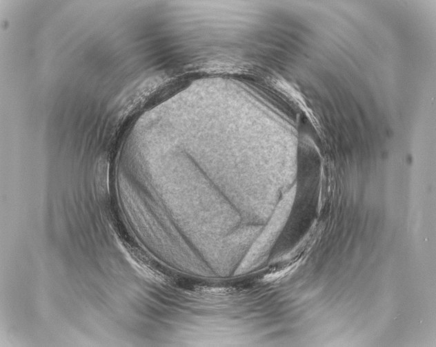 X0000086980205200705141724