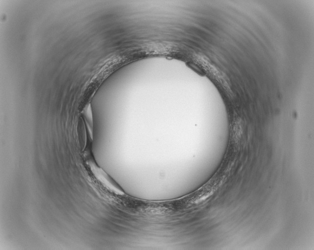 X0000086980209200705141724