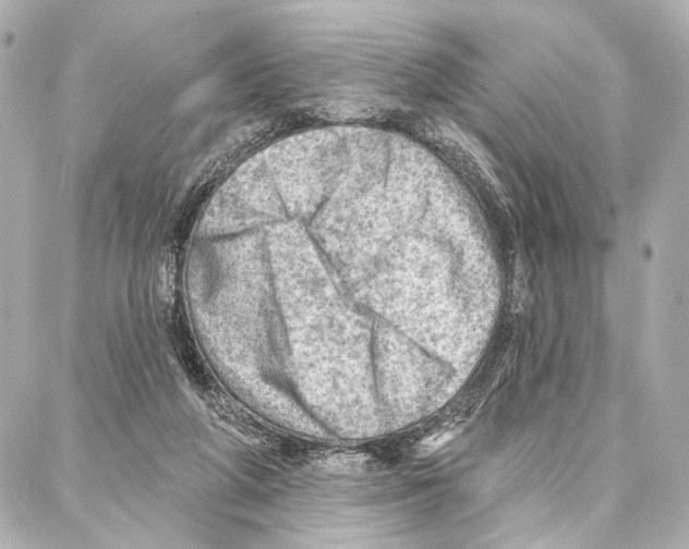 X0000086980210200705141724