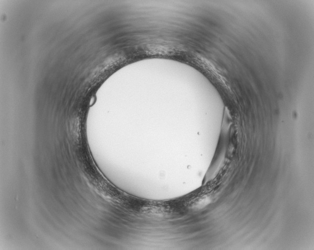 X0000086980211200705141724