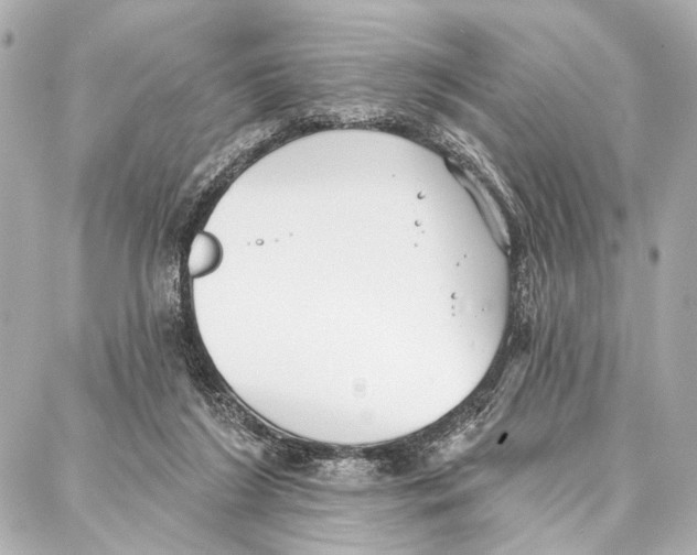 X0000086980212200705141724