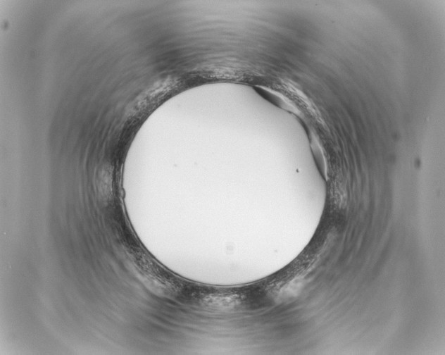 X0000086980213200705141724