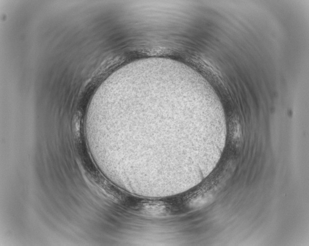 X0000086980214200705141724