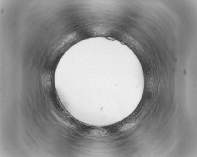 X0000086980215200705141724