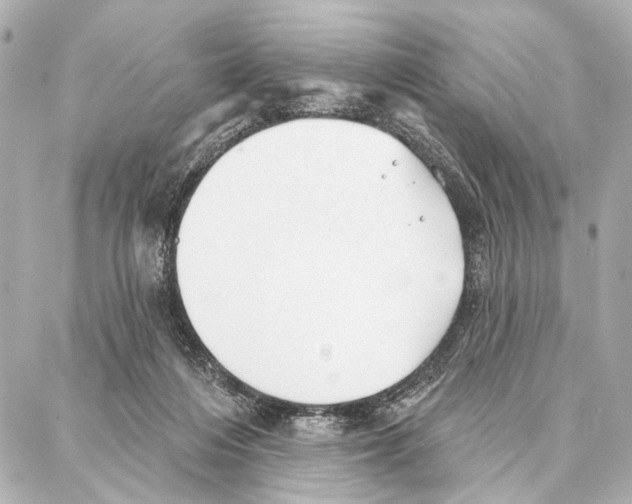 X0000086980216200705141724