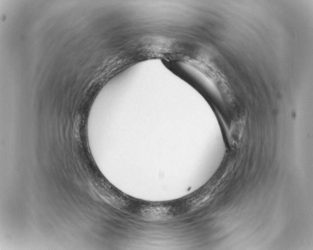 X0000086980217200705141724