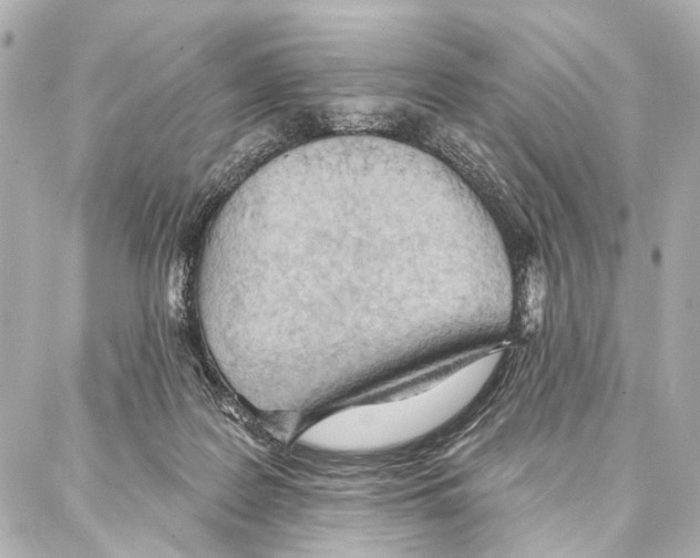 X0000086980219200705141724