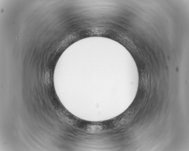 X0000086980220200705141724