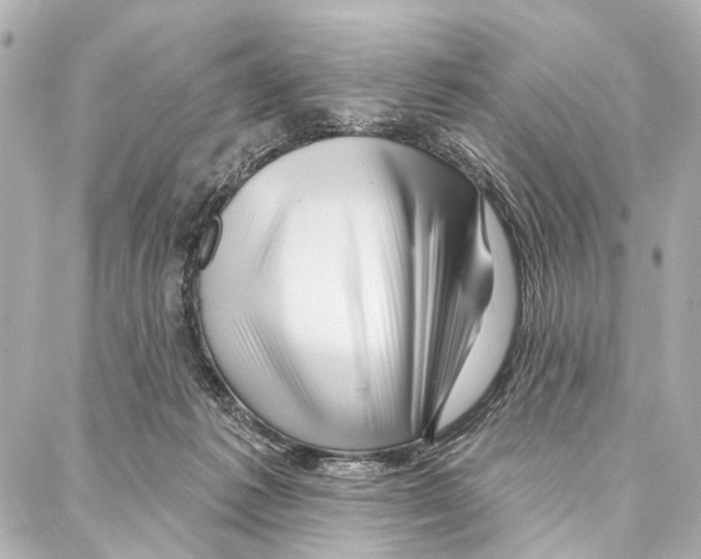 X0000086980221200705141724